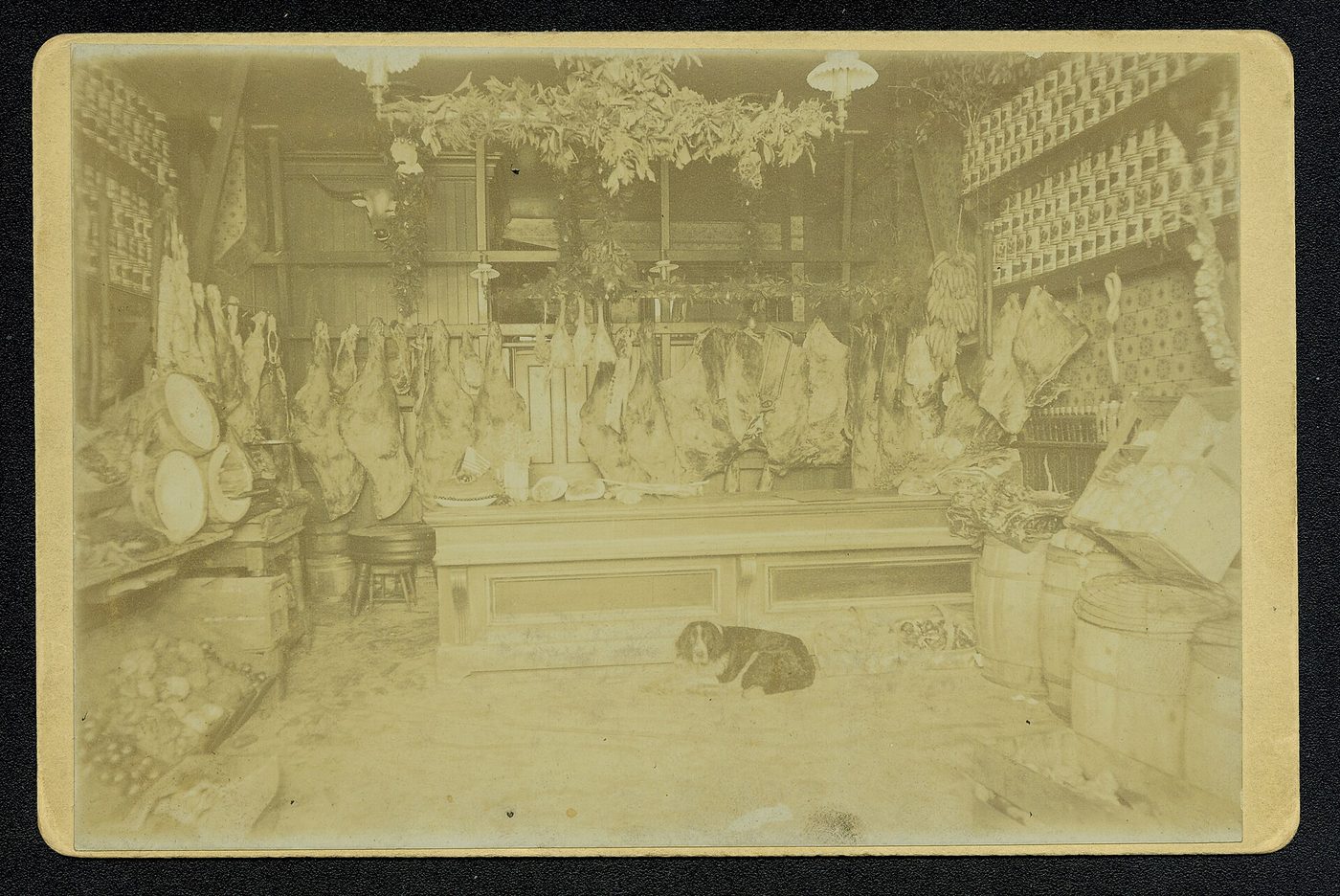 Comptoir de boucherie de la Maison Bréval, pièces présentées à l'étal